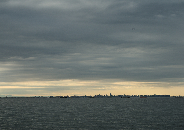 DSC_0184 (2)_00002.jpg