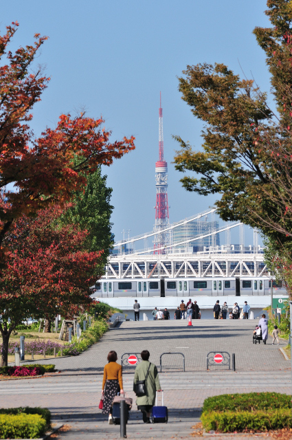 DSC_0281 (2)_00001_01.jpg
