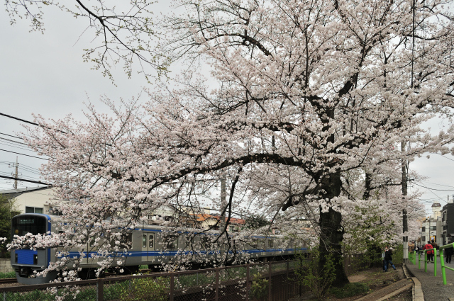 DSC_0285_001.JPG