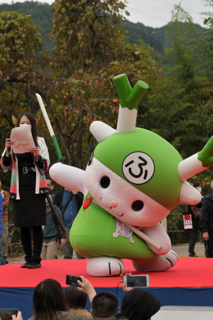 DSC_0344 (2)_00001.jpg