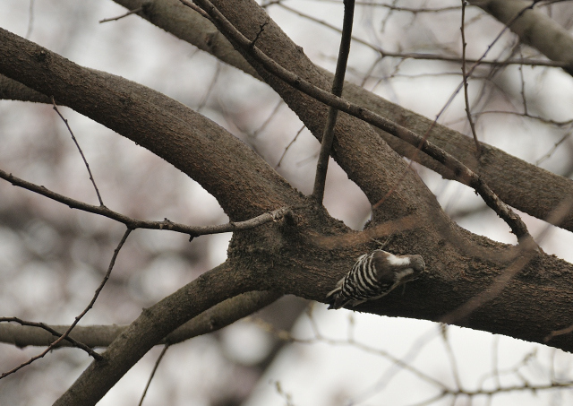 DSC_0351 (2)_00002.jpg