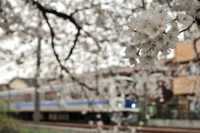 DSC_0411_001.JPG
