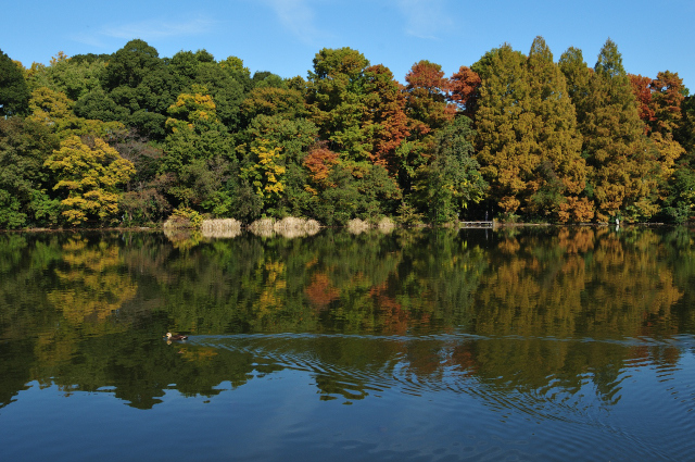 DSC_0473 (2)_00001.jpg