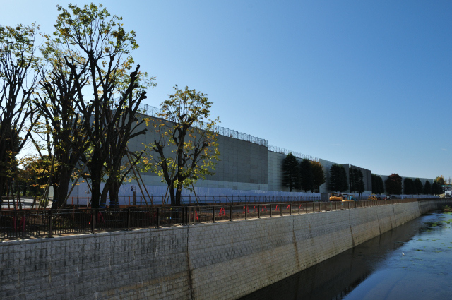 DSC_0483 (2)_00001.jpg
