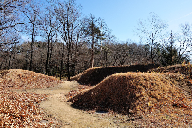 DSC_0539 (2).jpg