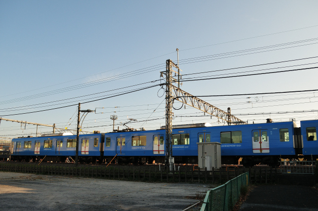 DSC_0563 (2)_00001.jpg