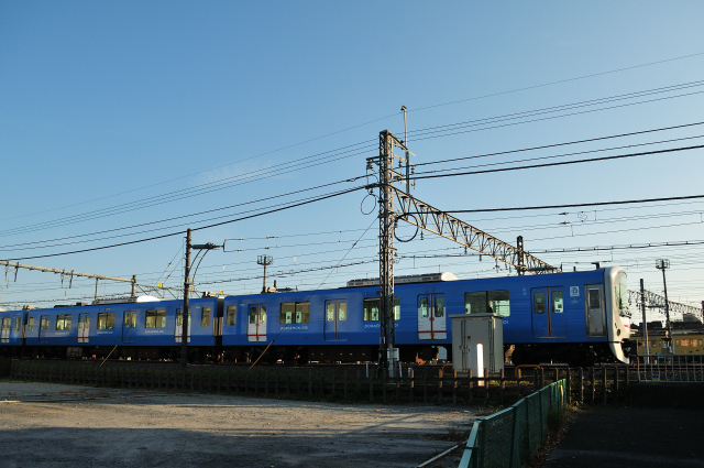 DSC_0567 (2)_00001.jpg
