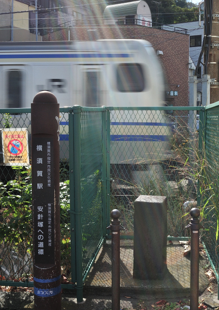 DSC_0772 (2)_00001.jpg