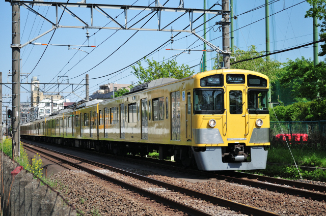 DSC_0973 (2)_00002.jpg