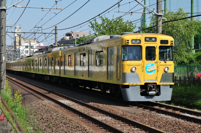 DSC_0993 (2)_00002.jpg