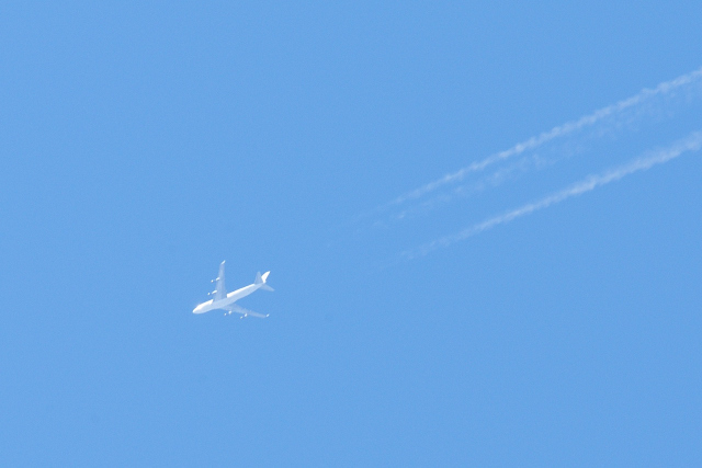 DSC_1244 (2)_00001.jpg