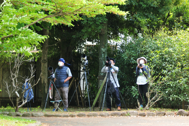 DSC_1715 (2)_00002.jpg