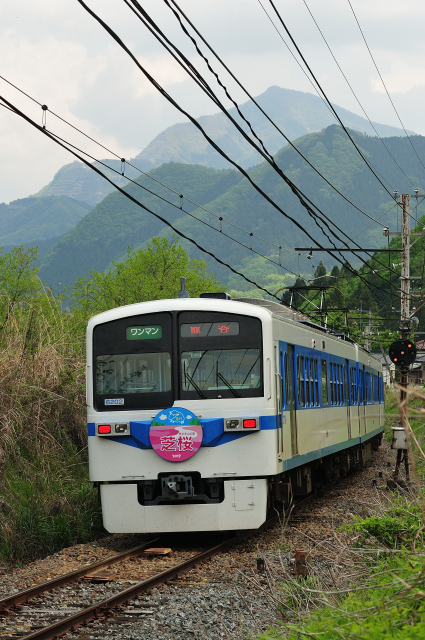 DSC_1753 (2)_00001.jpg