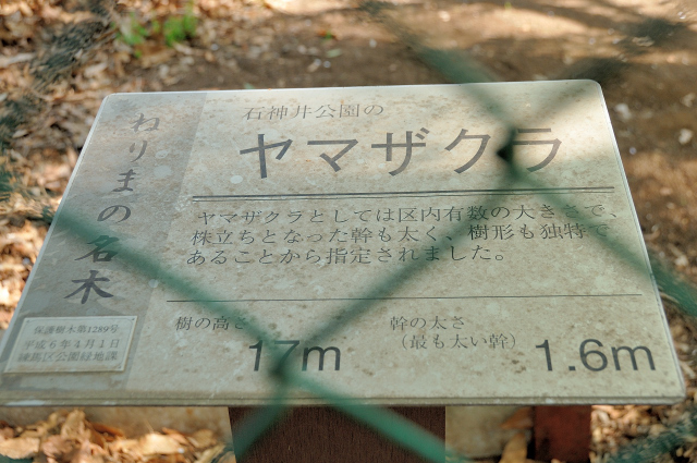 DSC_1767 (2).jpg