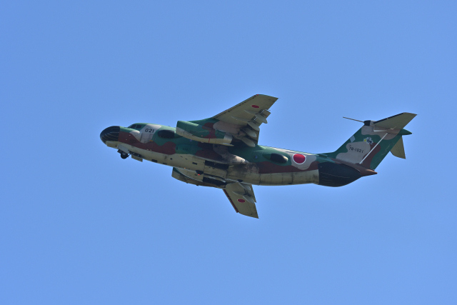 DSC_1773_001.JPG