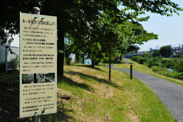 DSC_1826 (2)_00003.jpg
