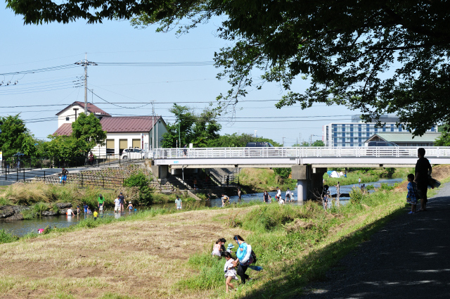 DSC_1834 (2)_00003.jpg