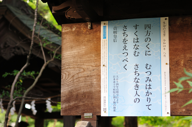 DSC_1856 (2)_00003.jpg