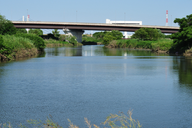 DSC_1863 (2)_00003.jpg