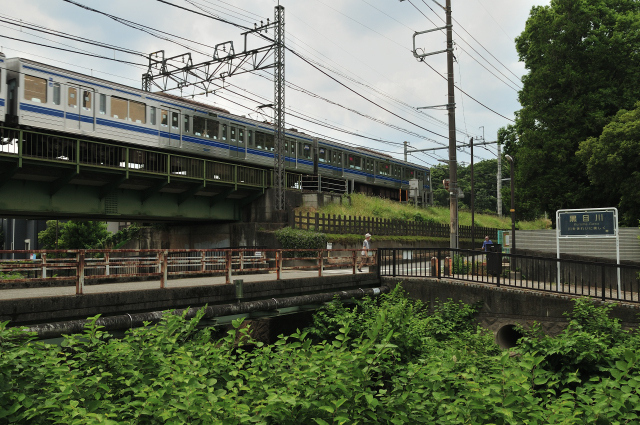 DSC_1888 (2)_00003.jpg