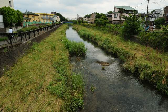 DSC_1891 (2)_00003.jpg