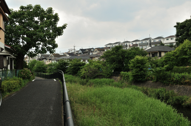 DSC_1899 (2)_00003.jpg