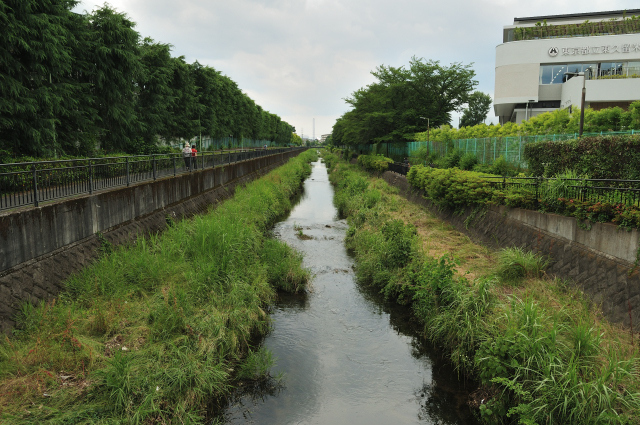 DSC_1908 (2)_00003.jpg