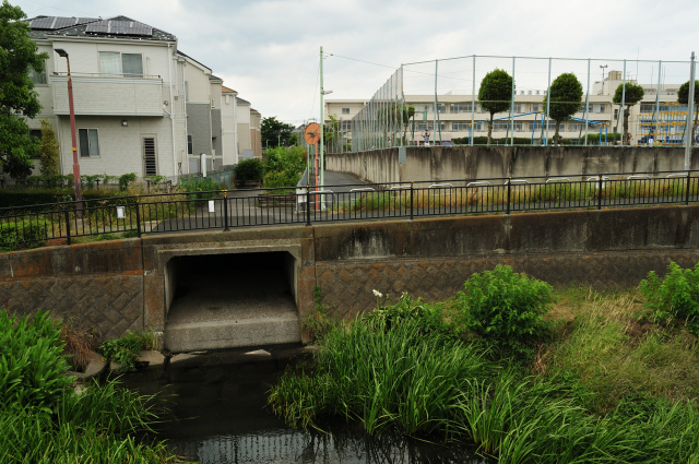 DSC_1912 (2)_00003.jpg
