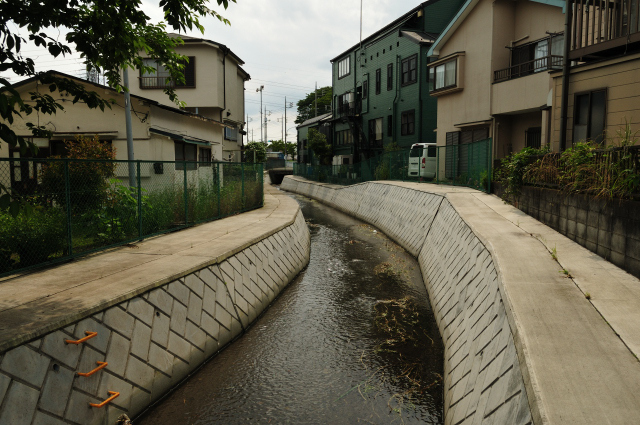 DSC_1919 (2)_00003.jpg