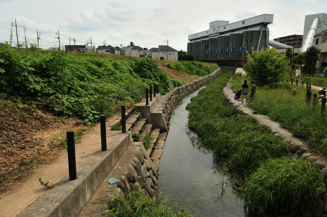 DSC_1927 (2)_00003.jpg
