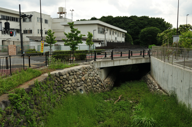 DSC_1943 (2)_00003.jpg
