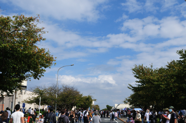 DSC_2013 (2)_00003.jpg