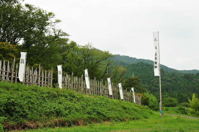 DSC_2132 (2)_00001.jpg