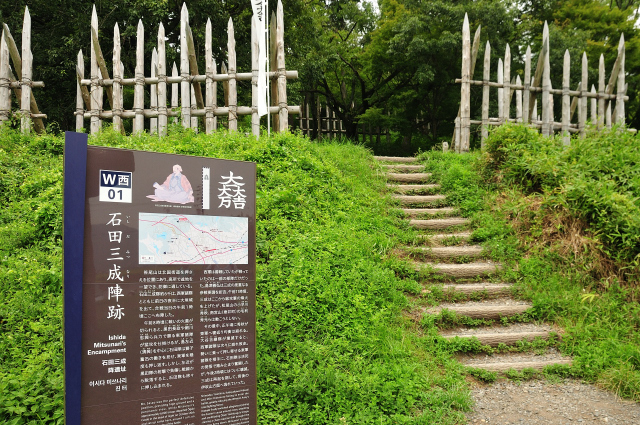 DSC_2133 (2)_00001.jpg