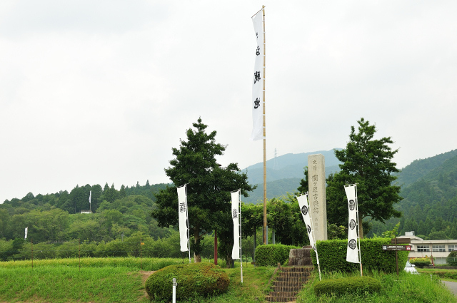 DSC_2165 (2)_00001.jpg
