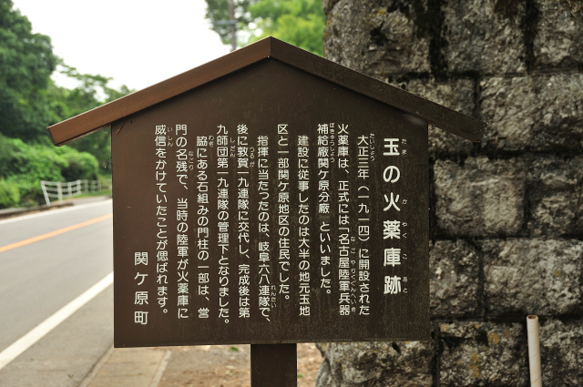 DSC_2169 (2)_00001.jpg