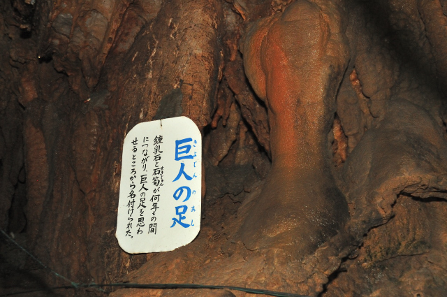 DSC_2186 (2)_00001.jpg