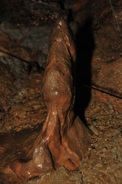 DSC_2187 (2)_00001.jpg