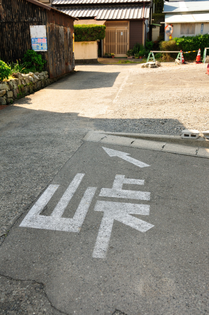 DSC_2196 (2).jpg