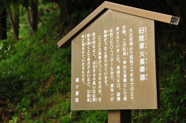 DSC_2218 (2)_00001.jpg