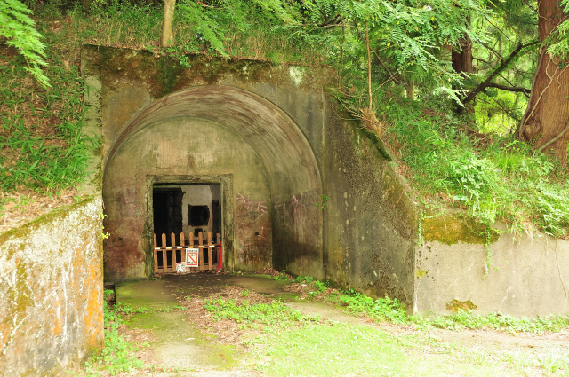 DSC_2221 (2)_00001.jpg