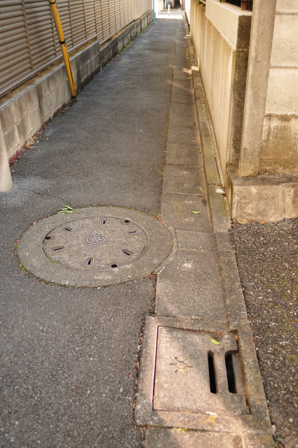 DSC_2239 (2)_00001.jpg