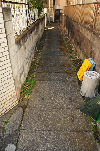 DSC_2241 (2)_00001.jpg
