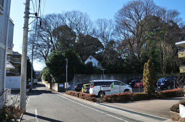 DSC_2244 (2)_00001.jpg