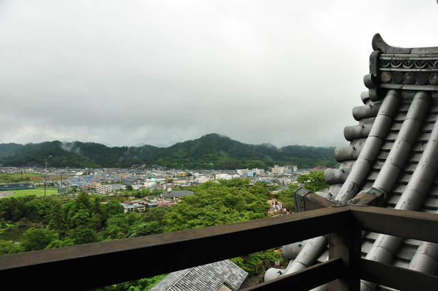 DSC_2259 (2)_00001.jpg