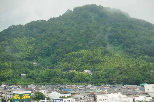 DSC_2261 (2)_00001.jpg