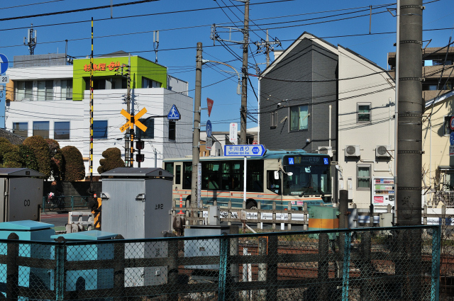 DSC_2289 (2)_00001.jpg