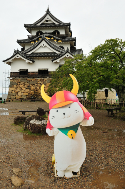DSC_2291 (2)_00001.jpg