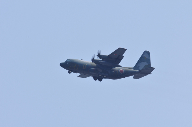 DSC_2399 (2)_00001.jpg