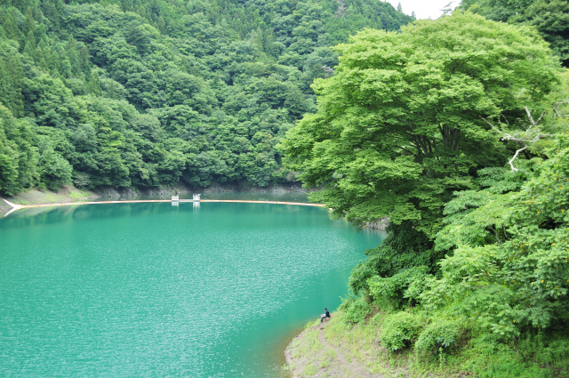 DSC_2419 (2)_00003.jpg